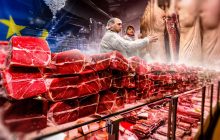 Украина теряет собственную свинину. Завалит ли прилавки импортное мясо