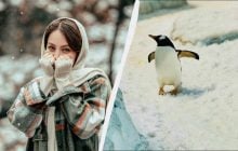 В Україні - сумне свято 15 лютого: чому сьогодні потрібно запросити гостей