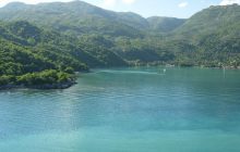 Гаити стало чемпионом по биоразнообразию благодаря птицам, которые жили миллионы лет назад