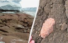 Вчені розкрили таємницю дивних рожевих каменів, знайдених в Антарктиді