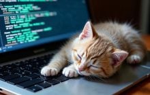 Чому кішки сидять на клавіатурі: одна причина розтопить ваше серце