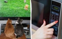 Ці прилади даремно витрачають електроенергію: їх варто вимикати з розетки