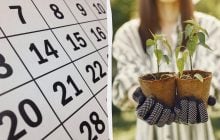 Точный лунный календарь для посева в марте 2026: что сажать на рассаду