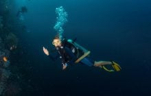 Біля Японії дайвери виявили крихітних тварин з щупальцями навколо рота (фото)