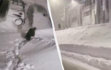 Жители Сибири живут без тепла и воды при -40°C, пока Путин сжигает деньги в Украине