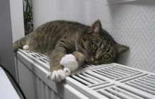 Котел чи теплонасос: вчені назвали найвигіднішу систему опалення будинку