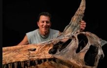 "Пекельна чапля": у Сахарі знайшли новий вид динозавра