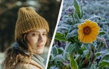 В Україні скасували свято 23 лютого: що сьогодні заборонено робити дівчатам