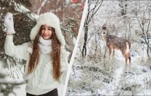 Свята і пам'ятні події 24 лютого: що потрібно зробити всім віруючим