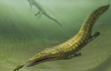 После апокалипсиса: ученые узнали поразительные детали о древнейших "морских чудовищах"