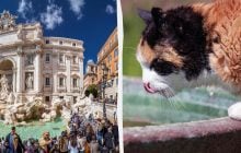 Не тільки натовпи і спека: 10 причин відмовитися від літньої відпустки в Європі