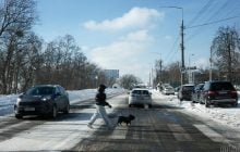 В Киев идет похолодание: названа дата, когда вернутся морозы (график)