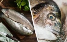 Эксперты назвали 8 морепродуктов, которые вообще нельзя есть: о чем идет речь