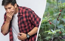 Знання цього може врятувати життя: найнебезпечніші рослини України