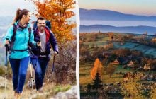 У 2025 році туризм в Україні не просто вижив, він знову почав приносити гроші, – Опендатабот