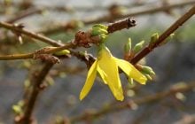 Сегодня Украину разогреет до +18°, но есть нюанс