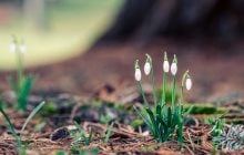 Тішитися теплом будемо недовго: синоптикиня попередила про похолодання в Україні