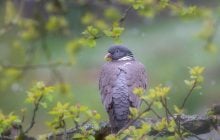 На выходных погода улучшится по всей Украине