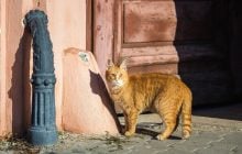 Завтра температура в Україні стрибне до +15°, - синоптикиня Діденко