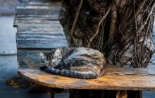 Синоптик повідомив, як антициклон змінить погоду в Україні