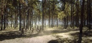 "Игра на перехват": что нужно знать о новом украинском документальном фильме о футболе и войне