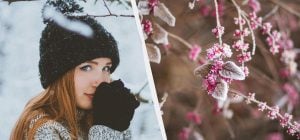 В Украине - профессиональный праздник 6 февраля: почему надо сходить к соседям