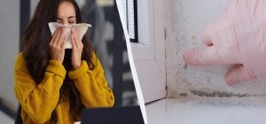 Копійчана добавка для тіста виявилася смертельною для цвілі: як прибрати грибок за годину