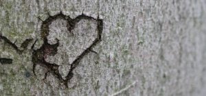 Чому День святого Валентина 14 лютого: чи перенесли в Україні свято