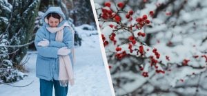 Все праздники 12 февраля: какие события вспоминаем и что нельзя рассказывать родным