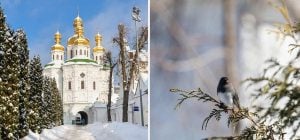 11 лютого: церковне свято сьогодні, прикмета дня, щоб увесь рік жити в достатку