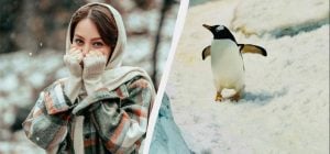 В Украине - грустный праздник 15 февраля: почему сегодня нужно пригласить гостей