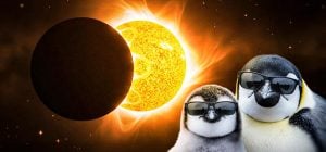 Сонячне затемнення і молодик у лютому: кому чекати великих змін - поради астролога