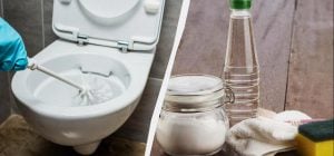 З оцтом чистити унітаз простіше простого: "злізає" навіть багаторічний наліт