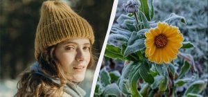 В Україні скасували свято 23 лютого: що сьогодні заборонено робити дівчатам