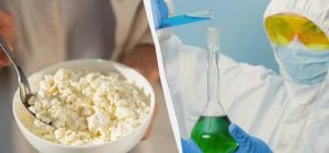 Блогер викрила українського виробника: як перевірити якість сиру