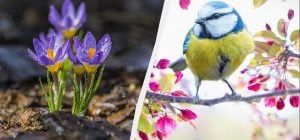 Сегодня - первый день весны: что в праздник 1 марта делают для благополучия