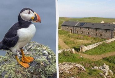 В Британии всем желающим предлагают "работу мечты", но есть нюанс