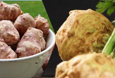 Что есть для здоровья кишечника: врач назвал 5 самых полезных овощей