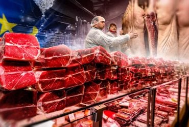 Украина теряет собственную свинину. Завалит ли прилавки импортное мясо