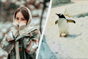 В Украине - грустный праздник 15 февраля: почему сегодня нужно пригласить гостей