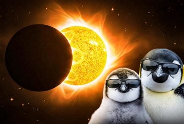 Сонячне затемнення і молодик у лютому: кому чекати великих змін - поради астролога