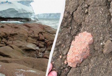 Ученые раскрыли тайну странных розовых камней, найденных в Антарктиде