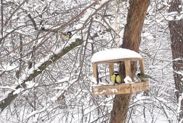 19 февраля осадков в Украине станет меньше, но не потеплеет