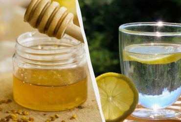 Полезна ли теплая вода с лимоном и медом: раскрыты все преимущества и недостаки