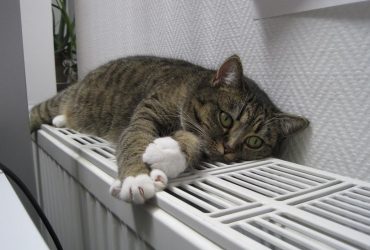 "Можем молиться на погоду": нардеп предупредил, что следующая зима будет еще тяжелее