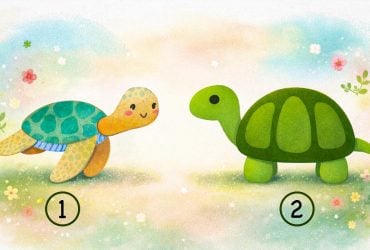 Чи є ви заздрісною людиною: психологічний тест допоможе розібратися