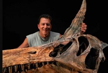 Адская цапля: в Сахаре нашли новый вид динозавра