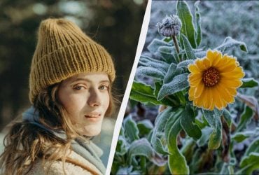 В Україні скасували свято 23 лютого: що сьогодні заборонено робити дівчатам