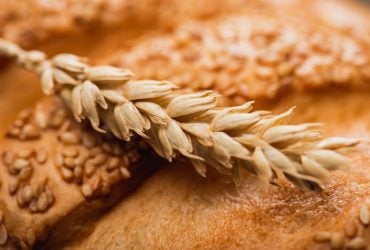 Египет не будет закупать зерно с оккупированных Россией украинских территорий, - Зеленский