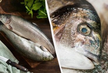 Експерти назвали 8 морепродуктів, які взагалі не можна їсти: про що йдеться